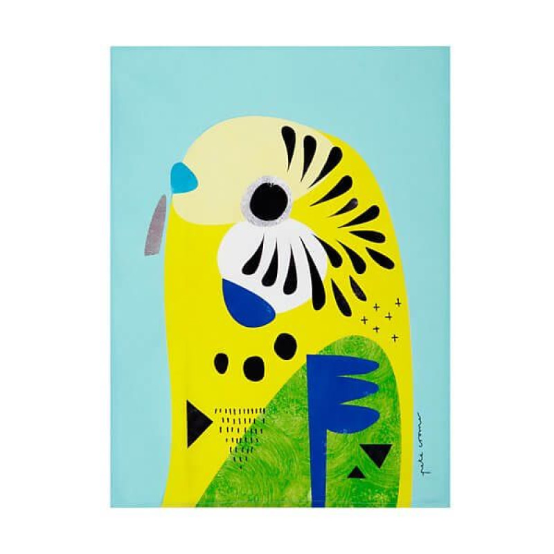 Βαμβακερή Πετσέτα Φαγητού Budgerigar 50x70 cm